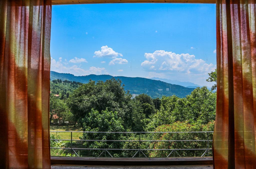 Hotel Elatofilito Athamanio エクステリア 写真